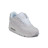 Мужские кроссовки NIKE AIR MAX90 WHITE
