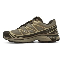 Salomon XT-6 Gore-Tex Beige/Brown